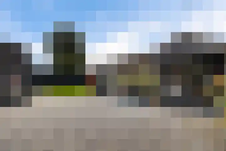 Aletta Jacobsstraat 22 Veenoord thumbnail 39