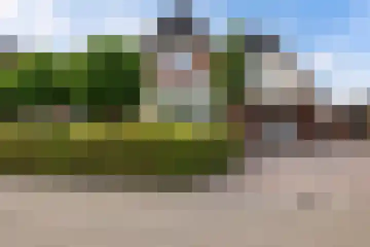 Aletta Jacobsstraat 22 Veenoord thumbnail 45