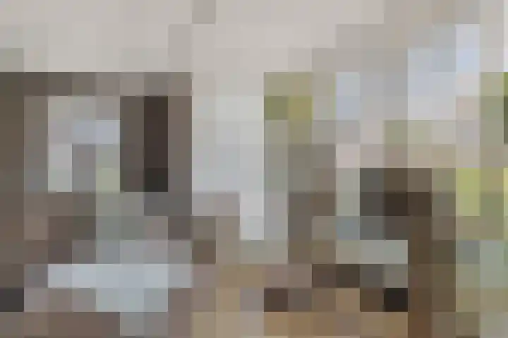 Aletta Jacobsstraat 22 Veenoord thumbnail 7