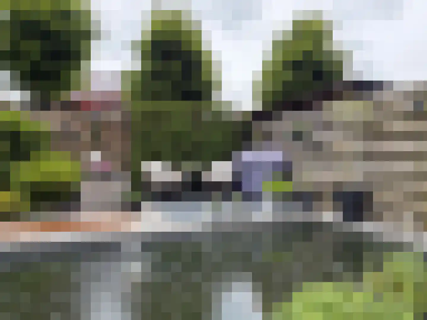Aletta Jacobsstraat 24 Coevorden thumbnail 17