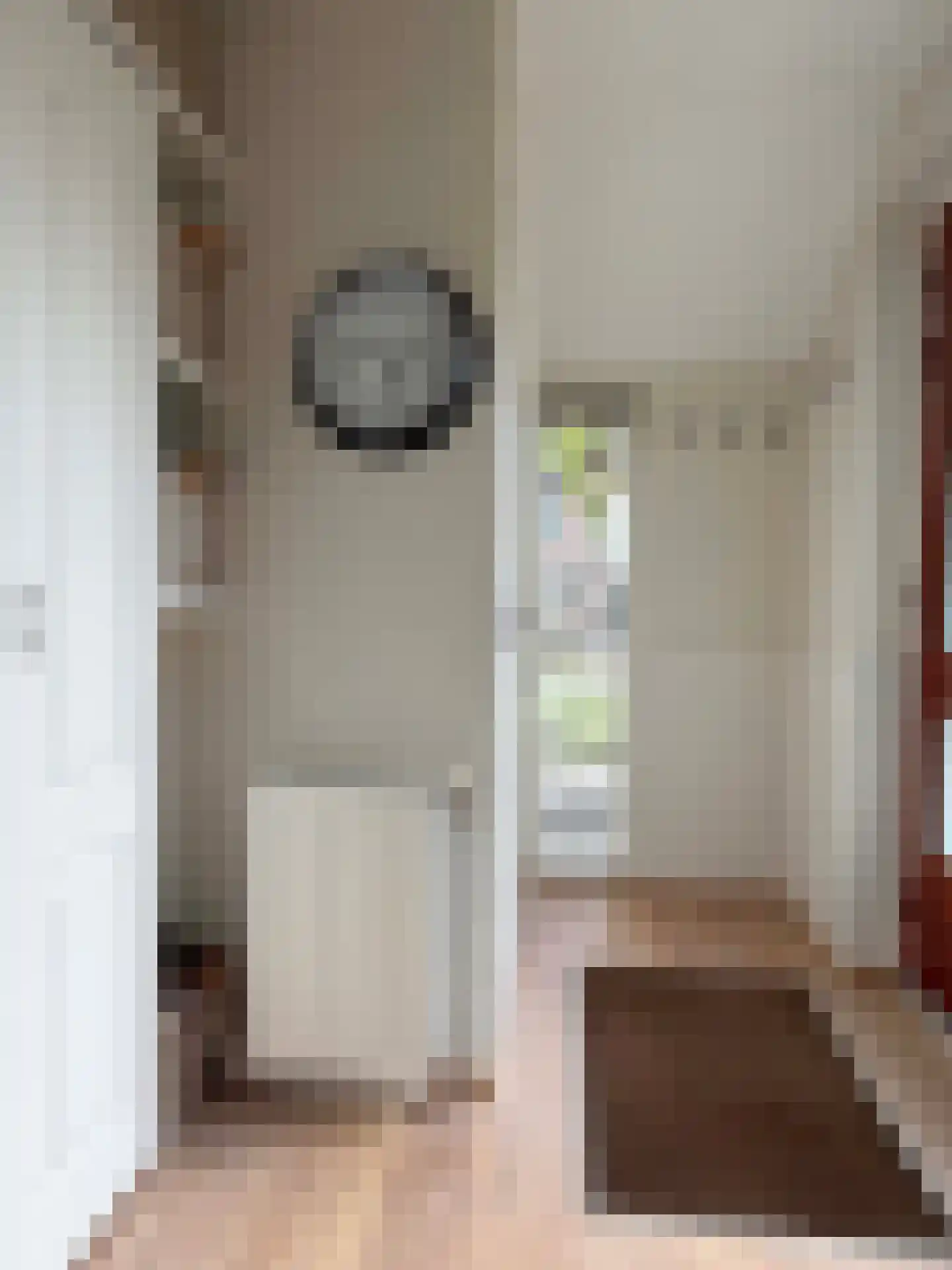 Aletta Jacobsstraat 24 Coevorden thumbnail 25