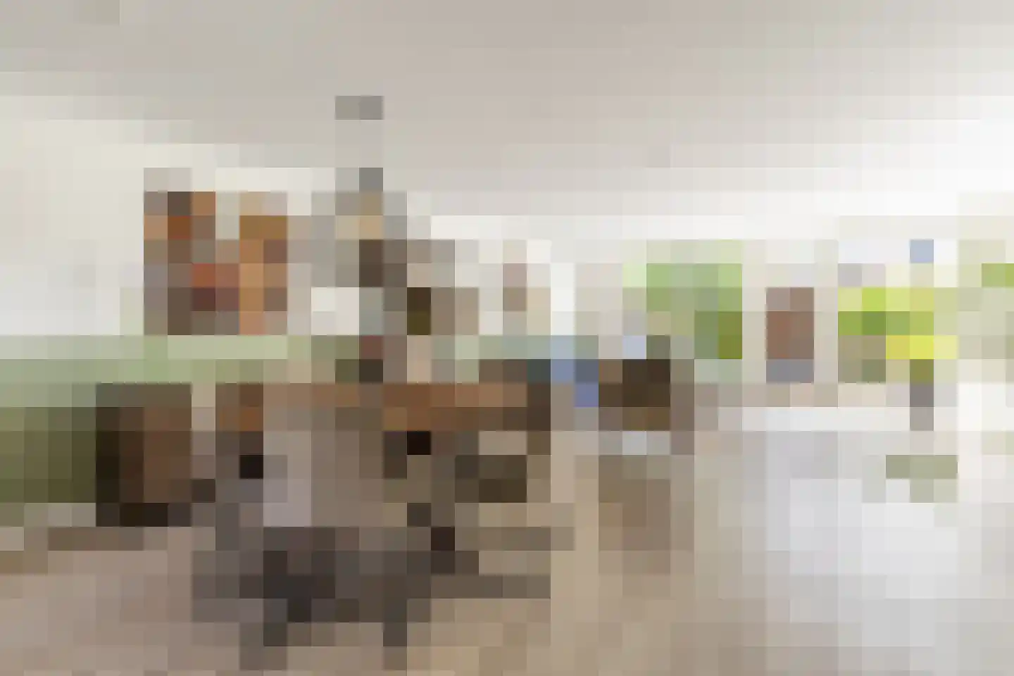 Aletta Jacobsstraat 24 Ridderkerk thumbnail 12
