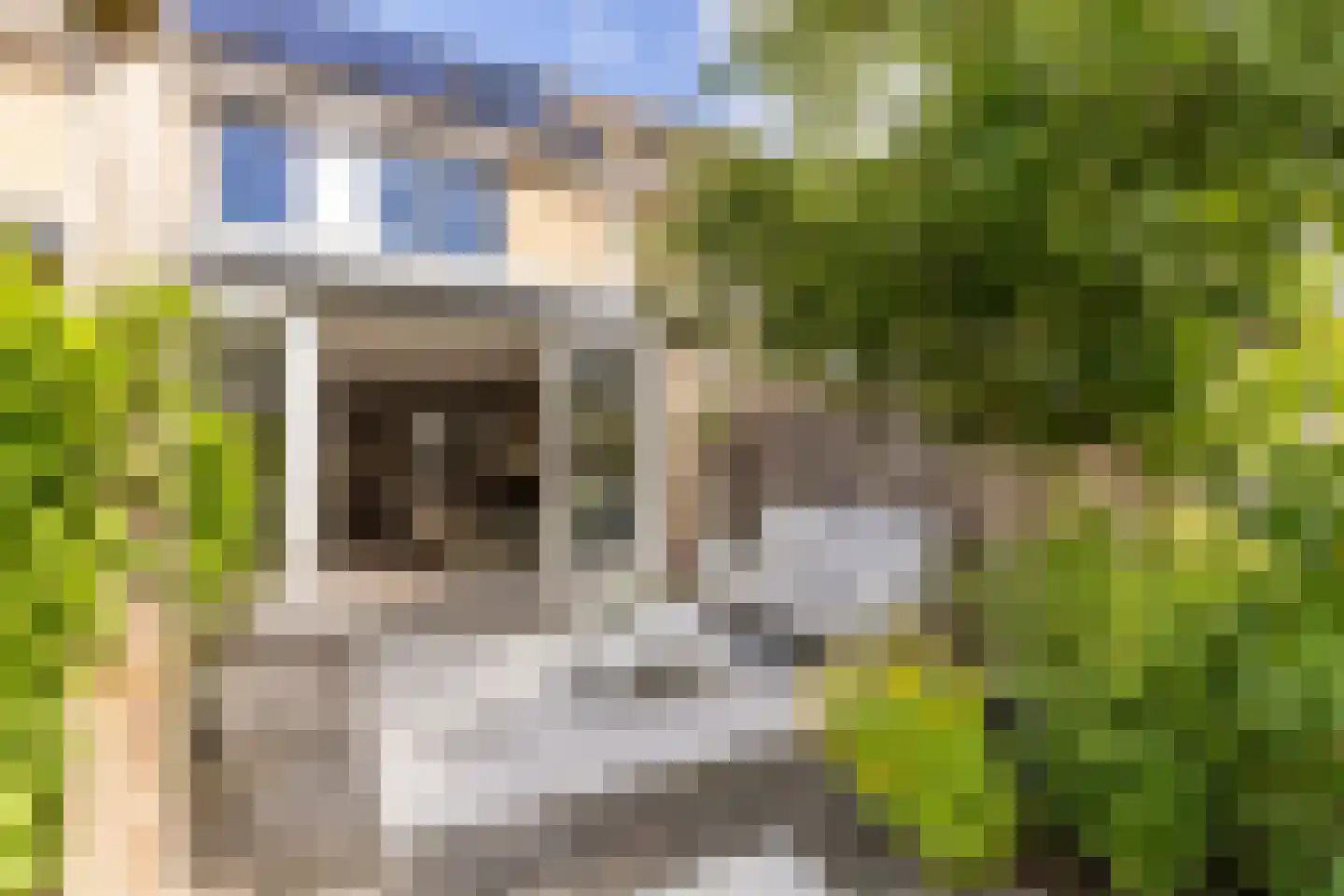 Aletta Jacobsstraat 24 Ridderkerk thumbnail 22