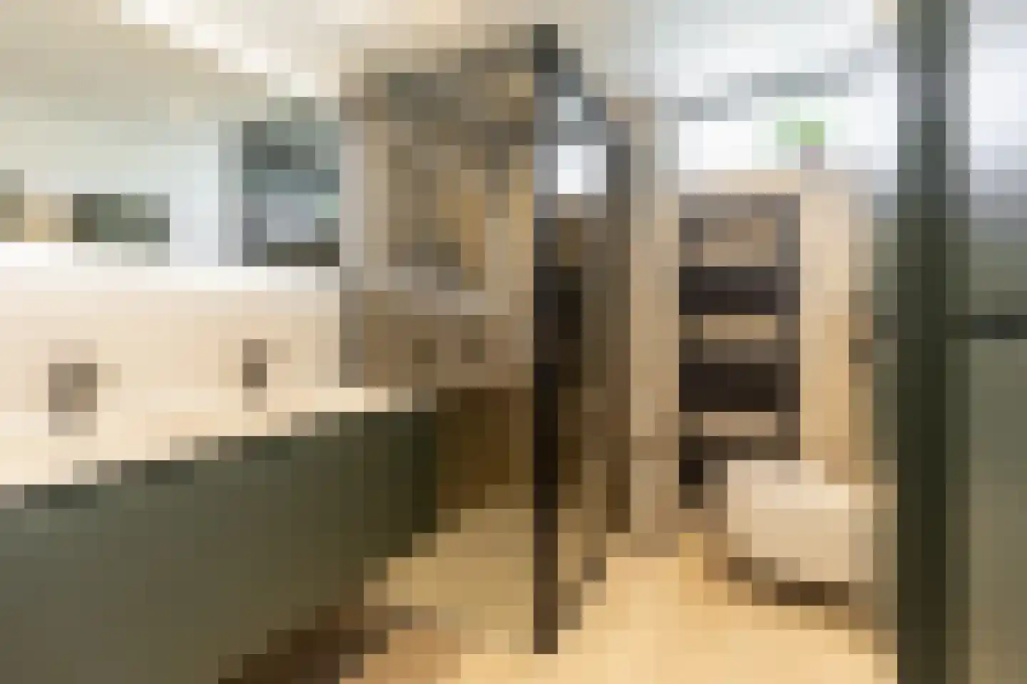 Aletta Jacobsstraat 24 Ridderkerk thumbnail 4