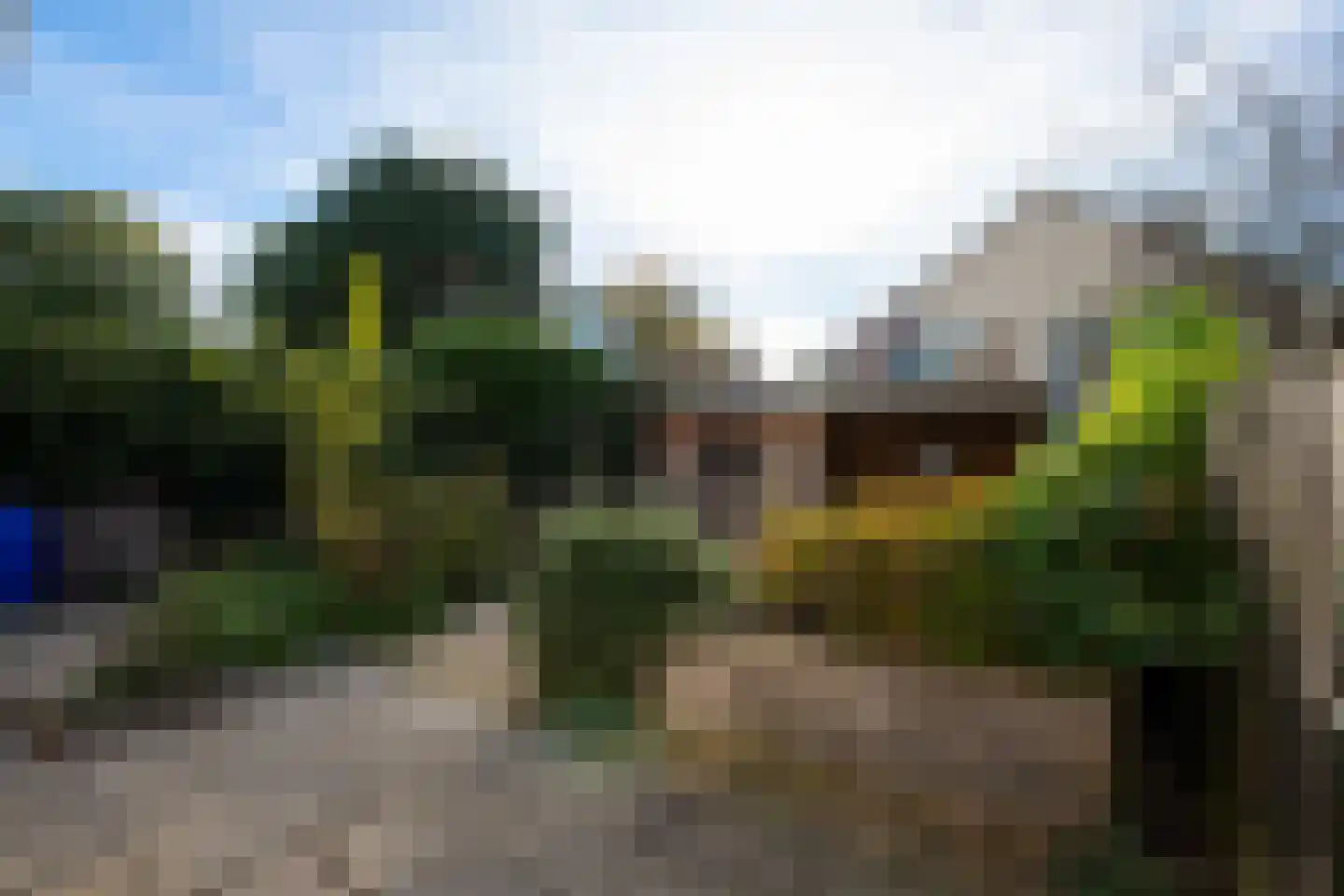 Aletta Jacobsstraat 27 Alkmaar thumbnail 38