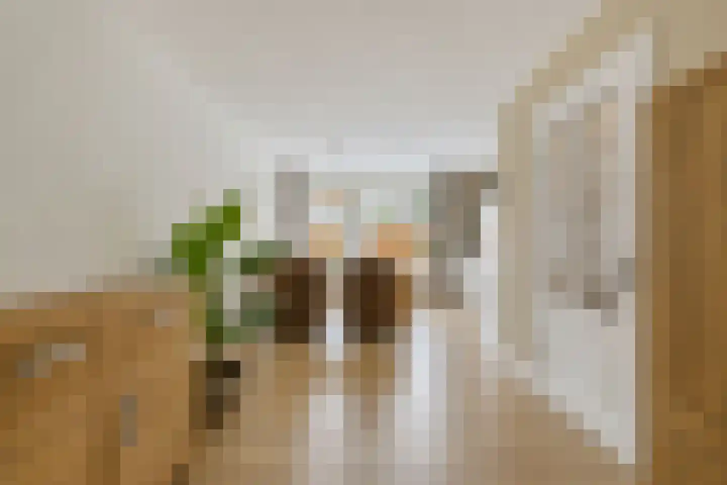 Aletta Jacobsstraat 27 Alkmaar thumbnail 8