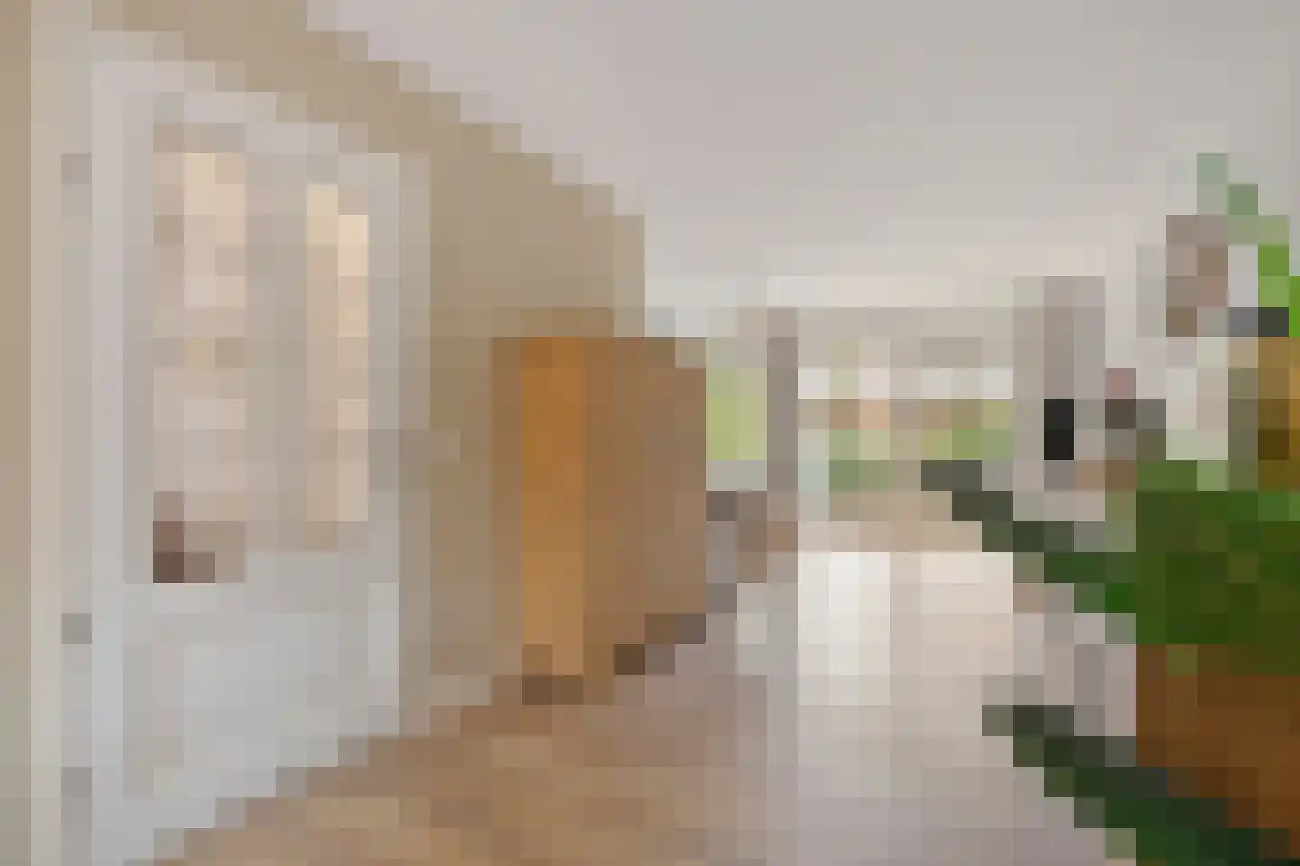 Aletta Jacobsstraat 27 Alkmaar thumbnail 9