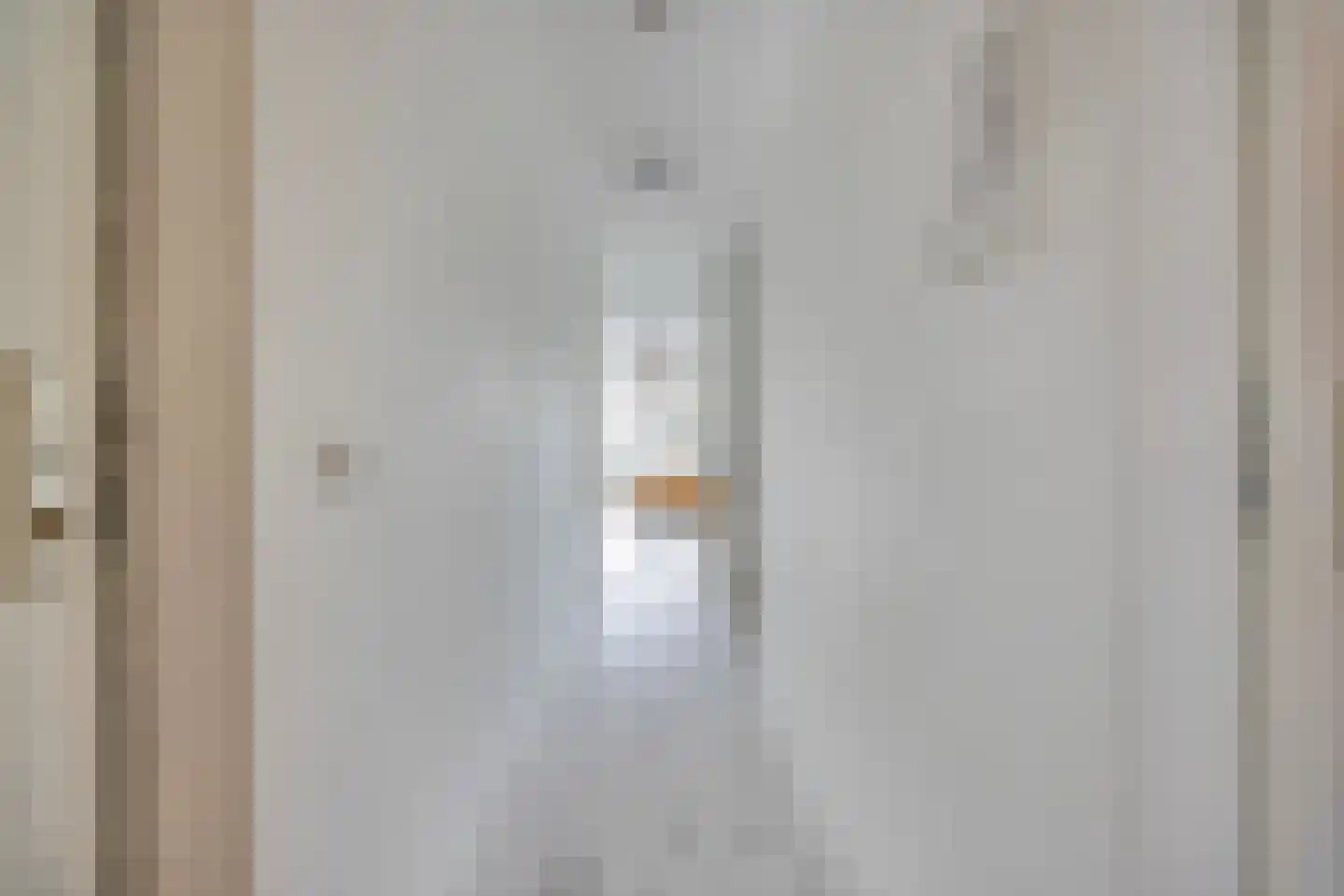 Aletta Jacobsstraat 28 Delft thumbnail 8