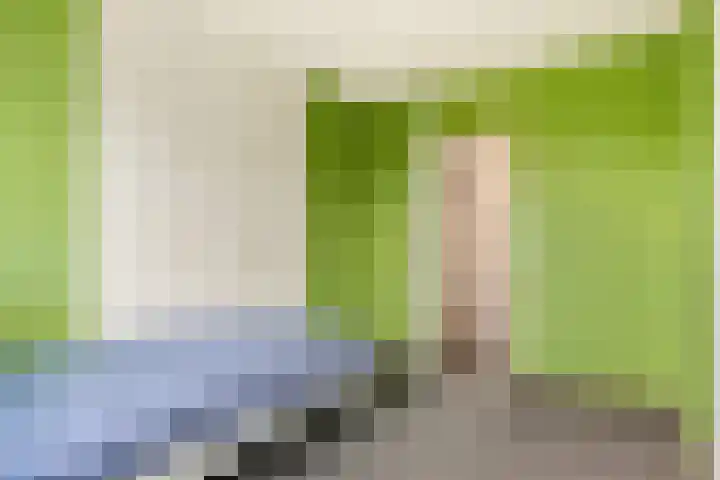 Aletta Jacobsstraat 28 Velserbroek thumbnail 44