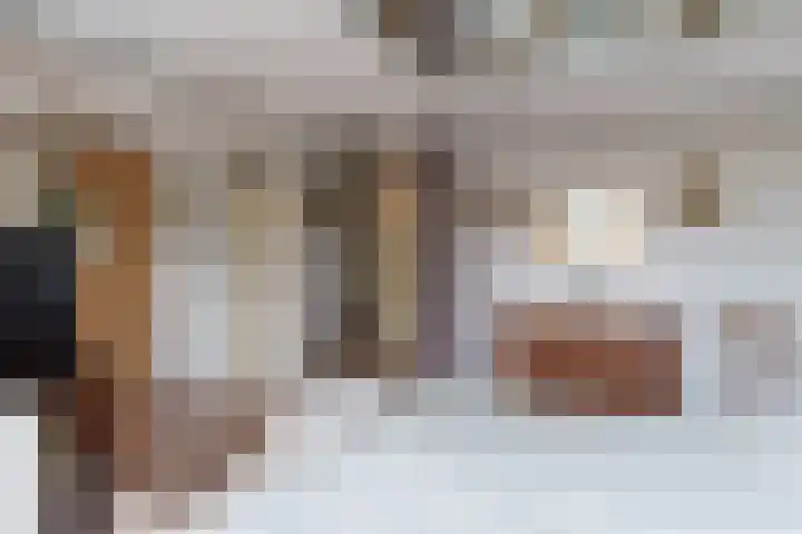 Aletta Jacobsstraat 32 Delft thumbnail 21