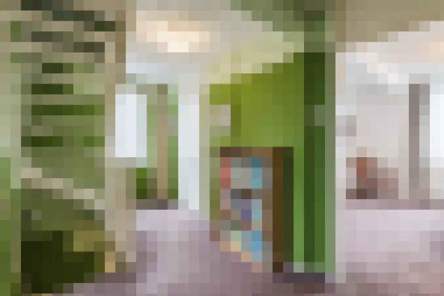 Aletta Jacobsstraat 34 Coevorden thumbnail 22