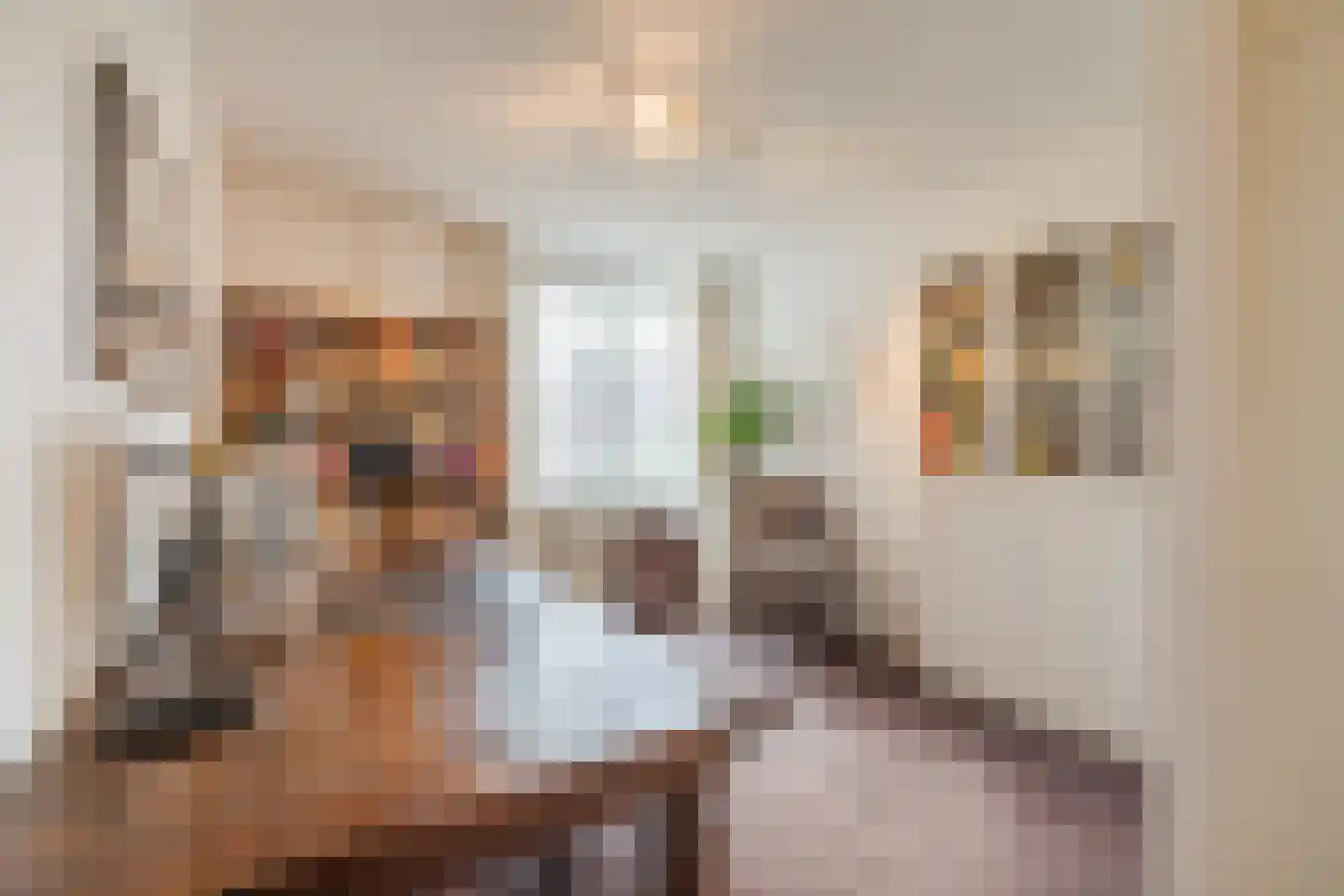 Aletta Jacobsstraat 34 Coevorden thumbnail 31