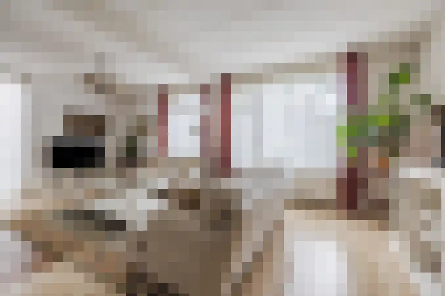 Aletta Jacobsstraat 34 Coevorden thumbnail 4