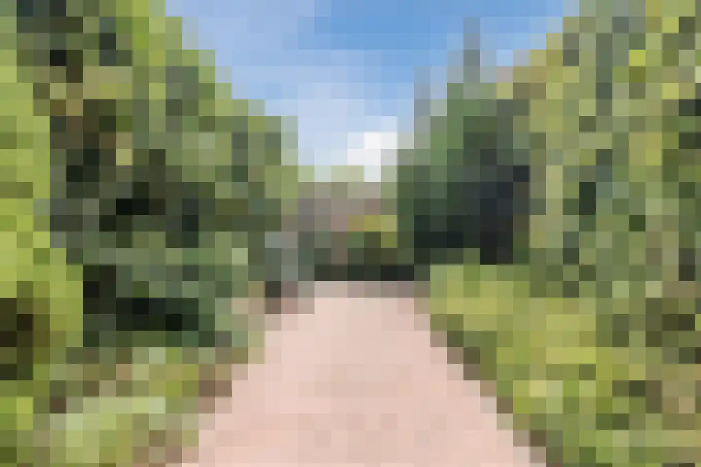 Aletta Jacobsstraat 34 Coevorden thumbnail 40