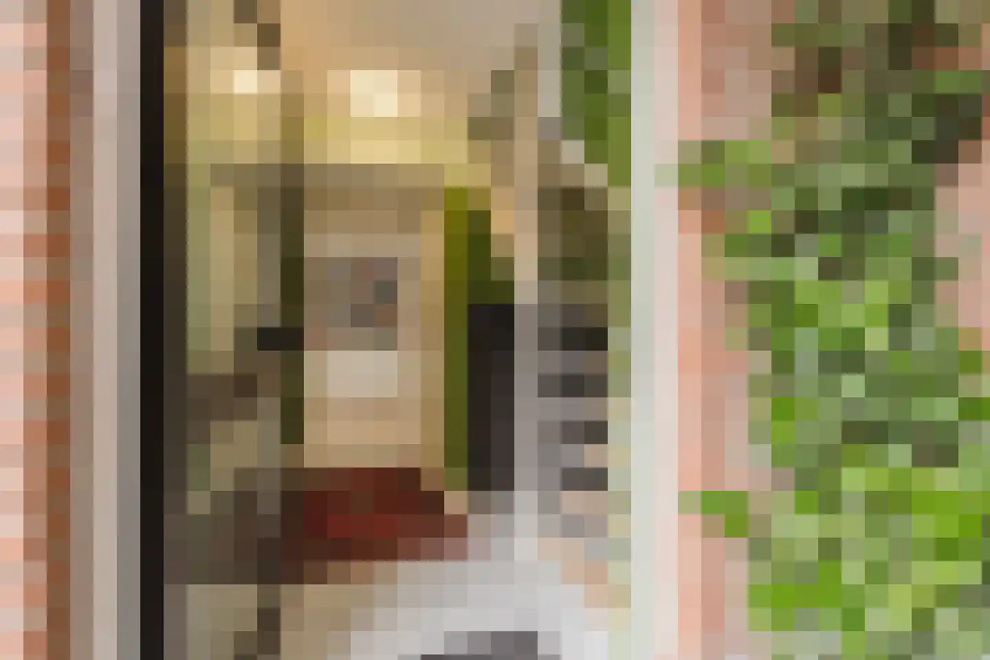 Aletta Jacobsstraat 34 Coevorden thumbnail 6