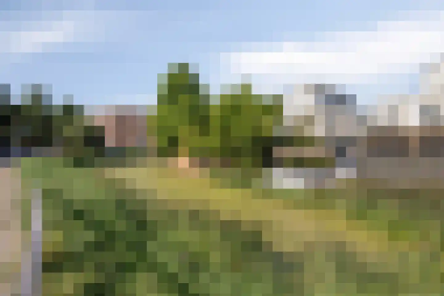 Aletta Jacobsstraat 36 Deventer thumbnail 38