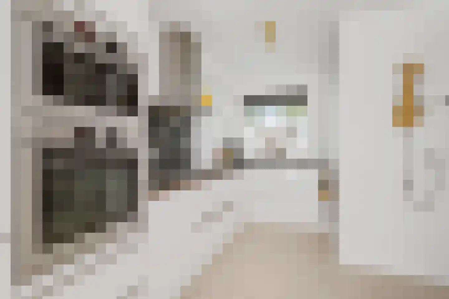 Aletta Jacobsstraat 37 Velserbroek thumbnail 17