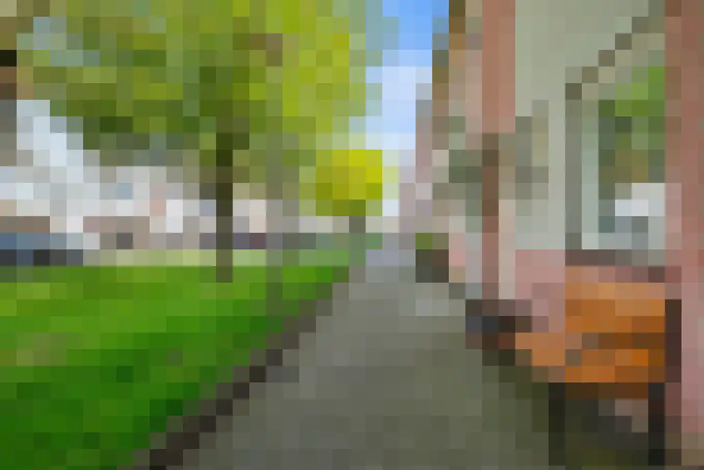 Aletta Jacobsstraat 37 Velserbroek thumbnail 40