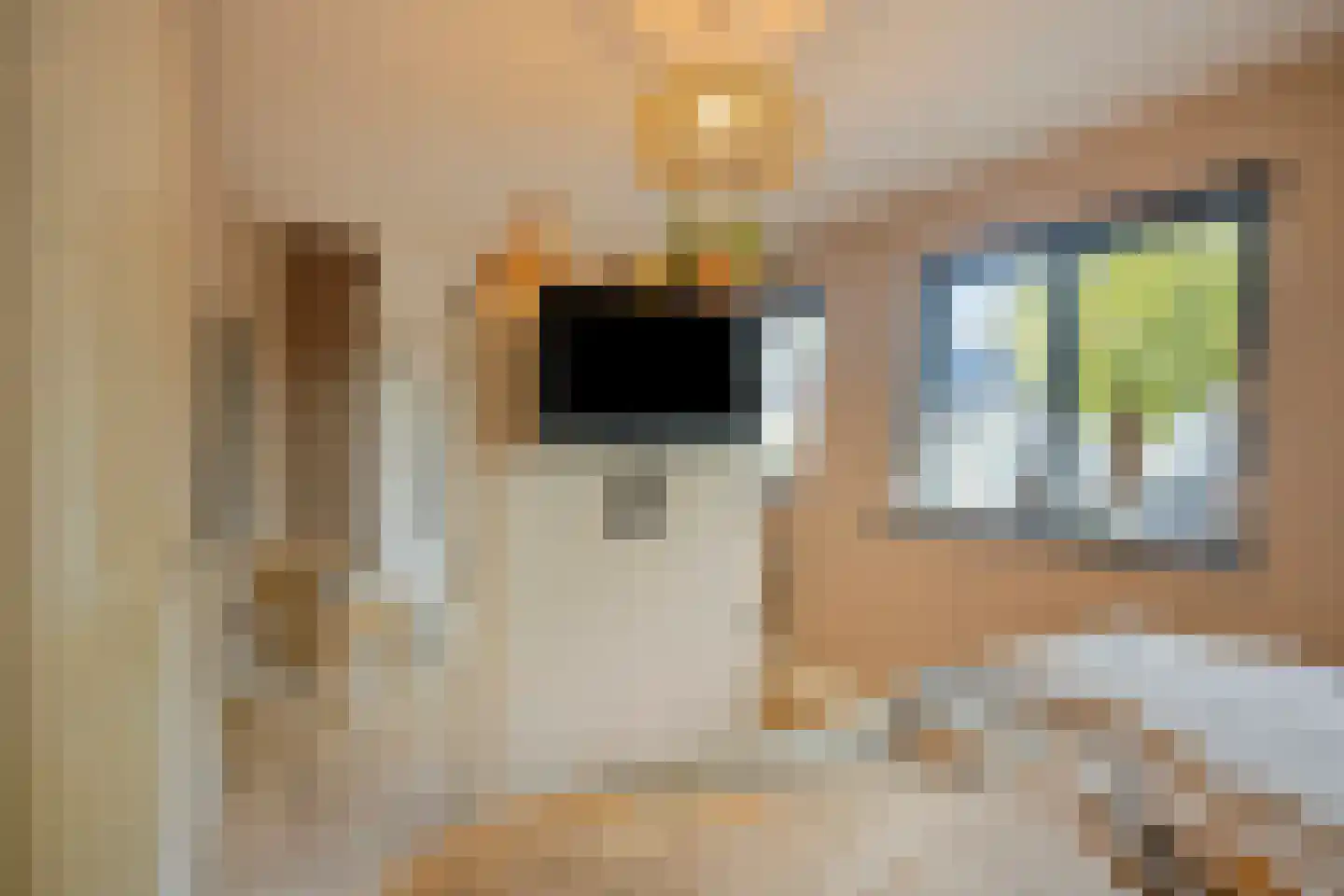 Aletta Jacobsstraat 4 Deventer thumbnail 19