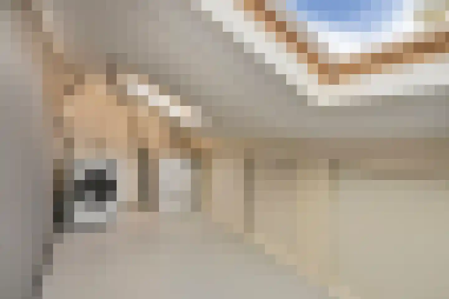 Aletta Jacobsstraat 4 Deventer thumbnail 33
