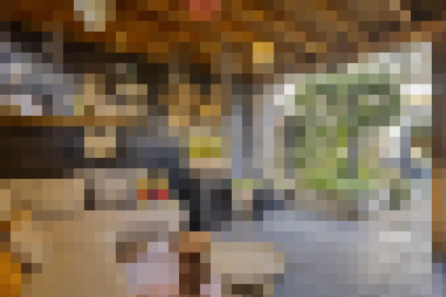 Aletta Jacobsstraat 4 Deventer thumbnail 39