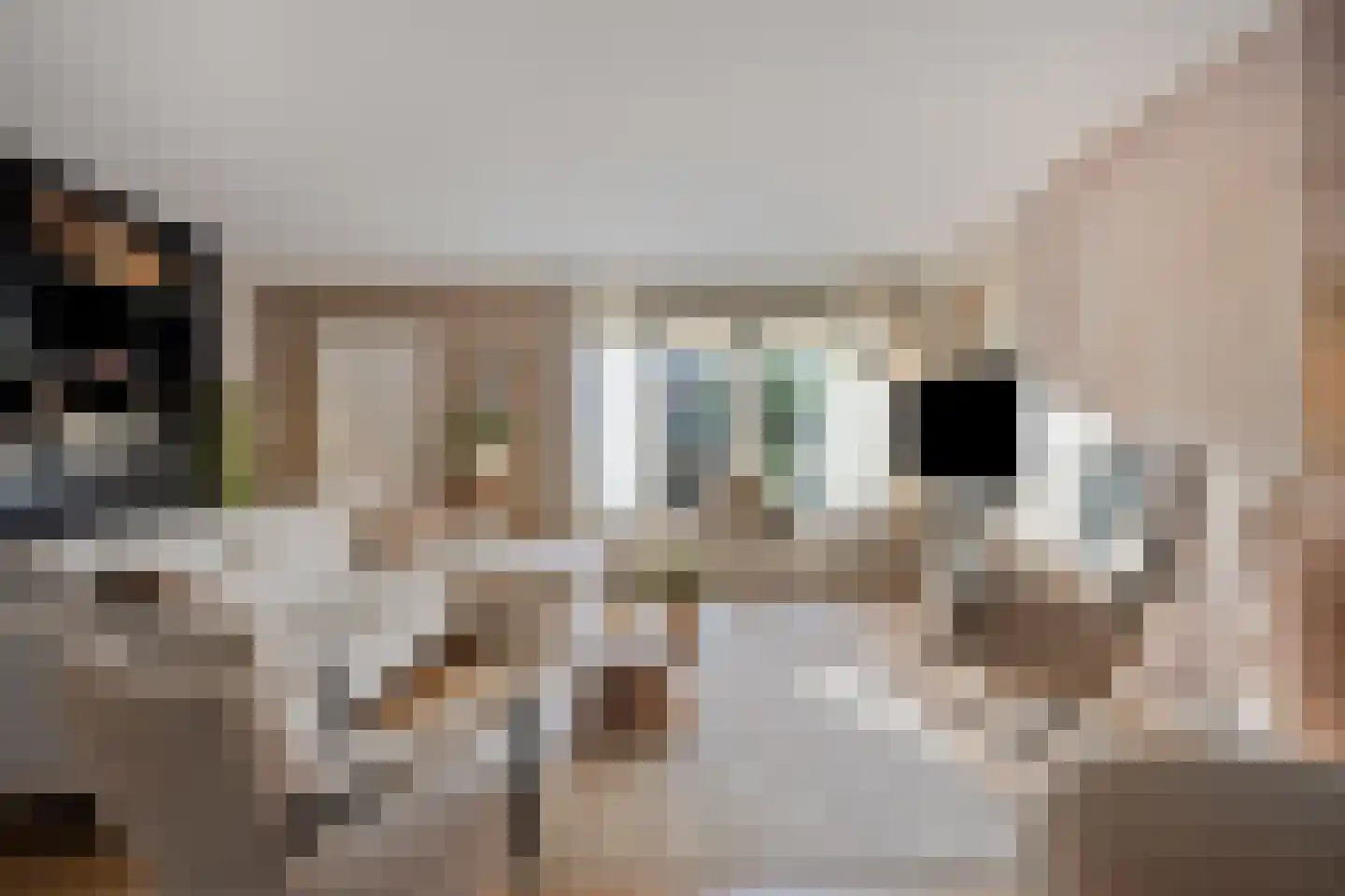 Aletta Jacobsstraat 4 Deventer thumbnail 5