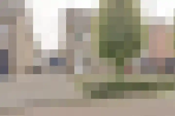 Aletta Jacobsstraat 44 Waspik thumbnail 33