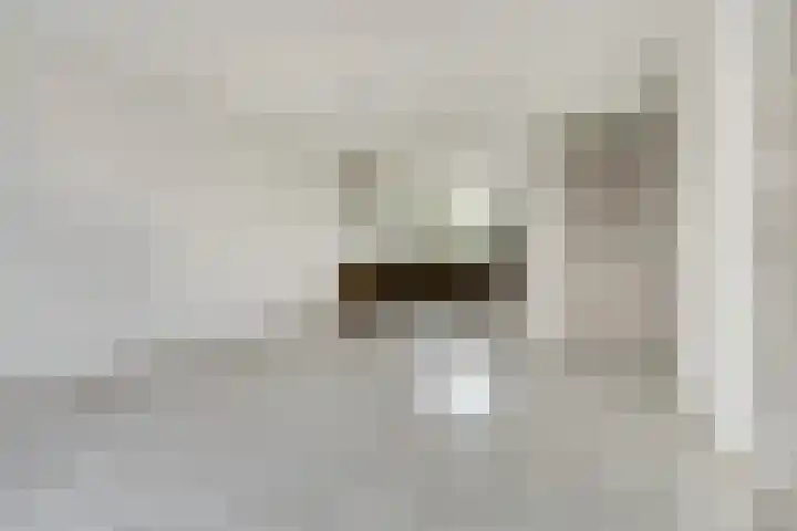 Aletta Jacobsstraat 44 Waspik thumbnail 5
