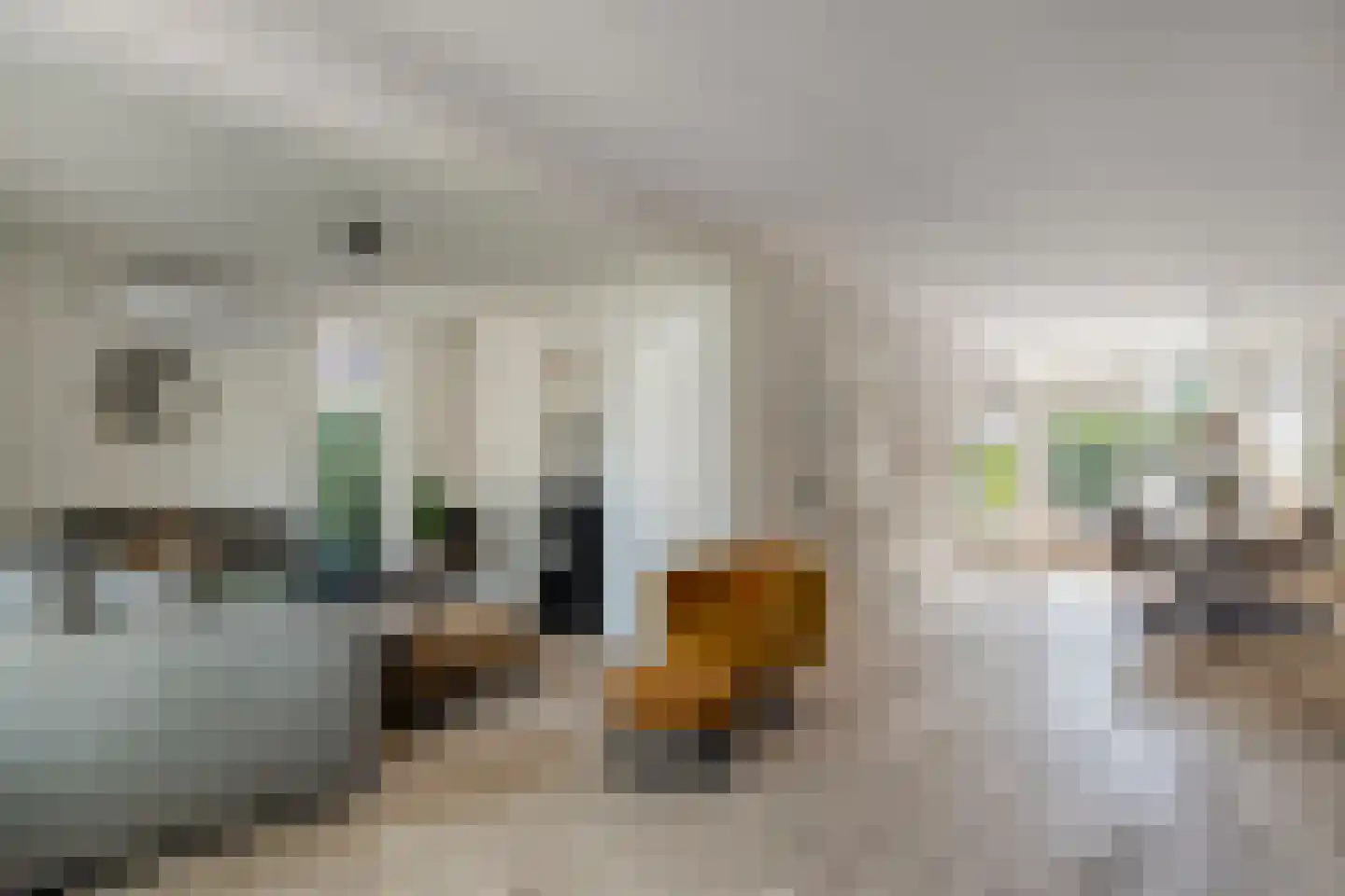 Aletta Jacobsstraat 47 Coevorden thumbnail 10