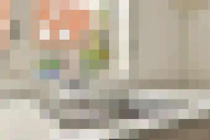 Aletta Jacobsstraat 57 Assendelft thumbnail 12