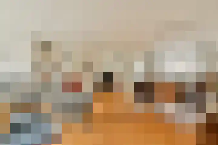 Aletta Jacobsstraat 57 Assendelft thumbnail 8