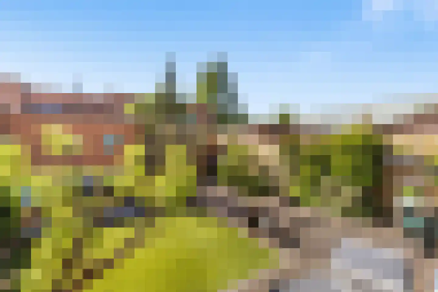 Aletta Jacobsstraat 6 Maassluis thumbnail 13