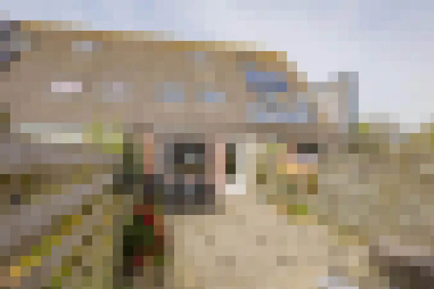 Aletta Jacobsstraat 7 Velserbroek thumbnail 18