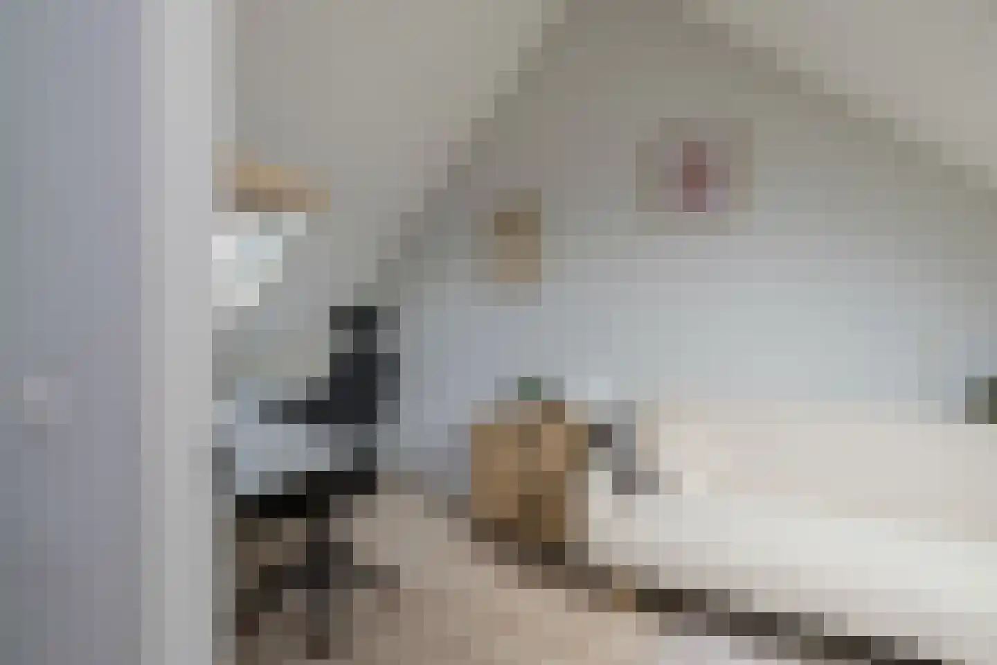 Aletta Jacobsstraat 7 Velserbroek thumbnail 36