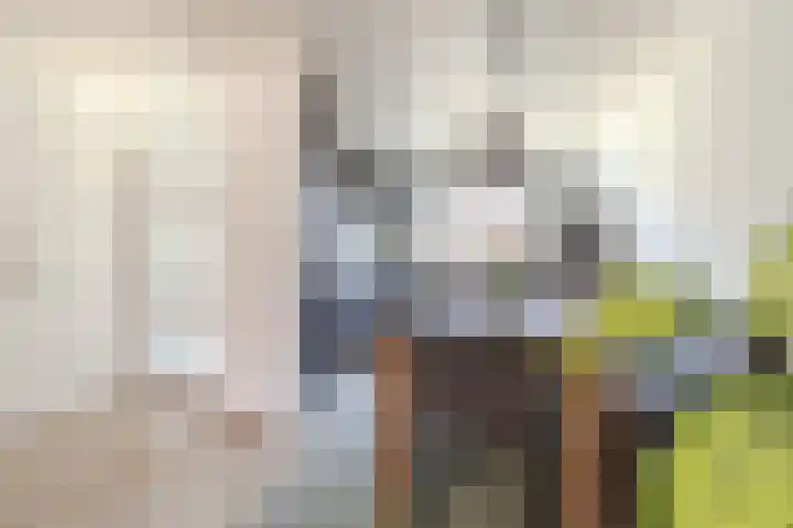 Aletta Jacobsstraat 72 Assendelft thumbnail 5