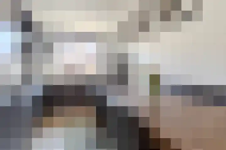 Aletta Jacobsstraat 72 Assendelft thumbnail 6