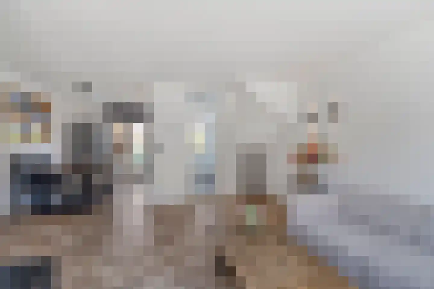 Aletta Jacobsstraat 74 Assendelft thumbnail 12