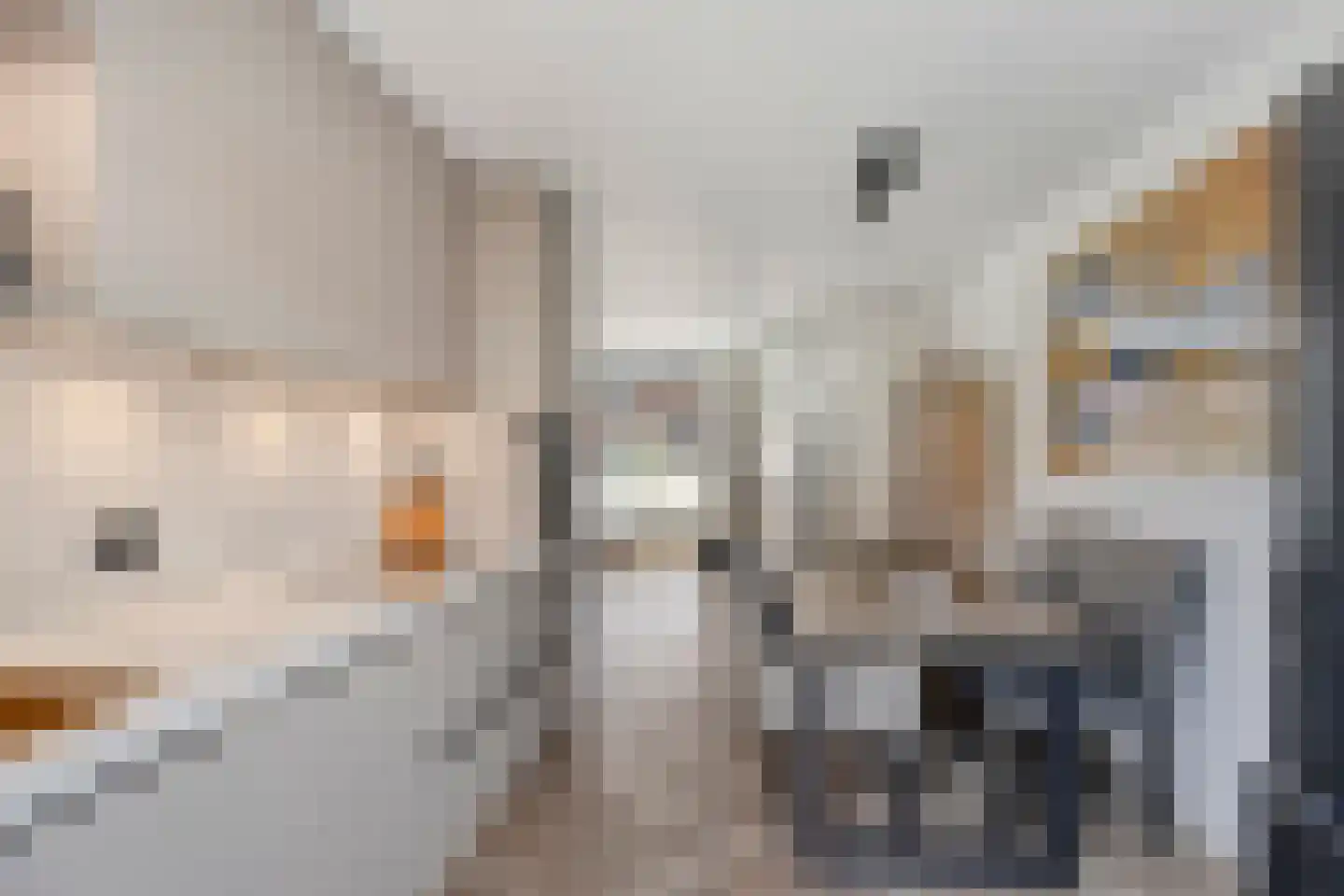 Aletta Jacobsstraat 74 Assendelft thumbnail 21