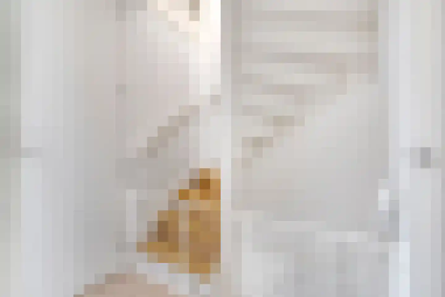 Aletta Jacobsstraat 74 Assendelft thumbnail 33