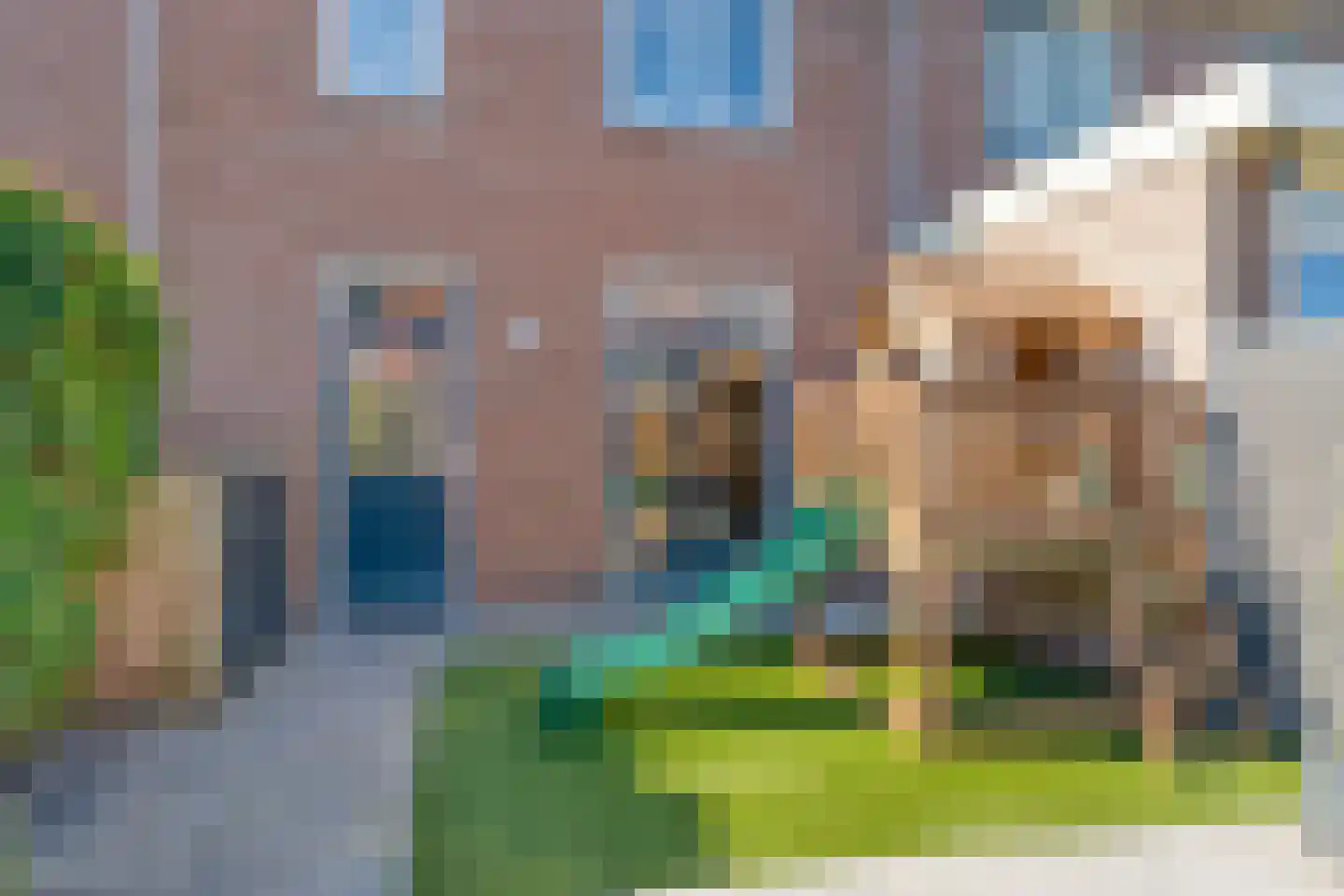 Aletta Jacobsstraat 74 Assendelft thumbnail 47