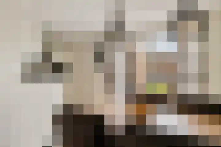 Aletta Jacobsstraat 9 Veenoord thumbnail 10