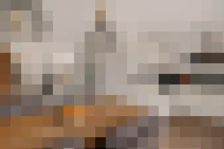 Aletta Jacobsstraat 9 Veenoord thumbnail 12