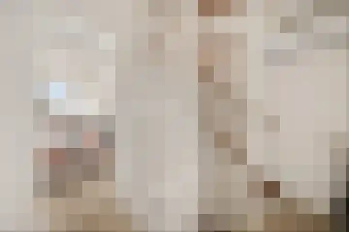 Aletta Jacobsstraat 9 Veenoord thumbnail 17