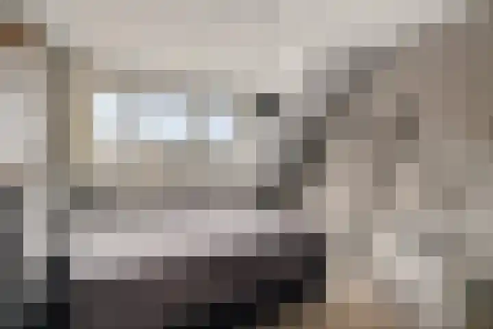 Aletta Jacobsstraat 9 Veenoord thumbnail 21