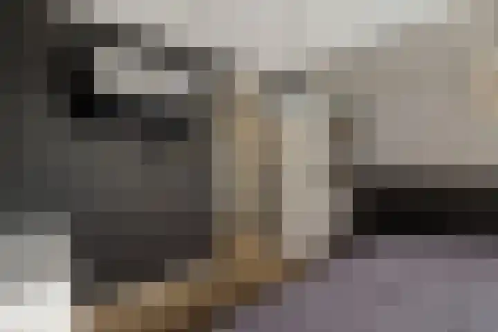 Aletta Jacobsstraat 9 Veenoord thumbnail 22
