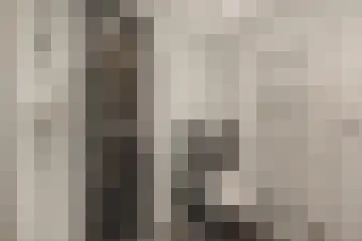 Aletta Jacobsstraat 9 Veenoord thumbnail 25