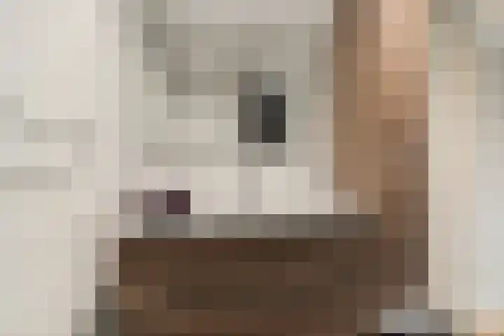 Aletta Jacobsstraat 9 Veenoord thumbnail 26