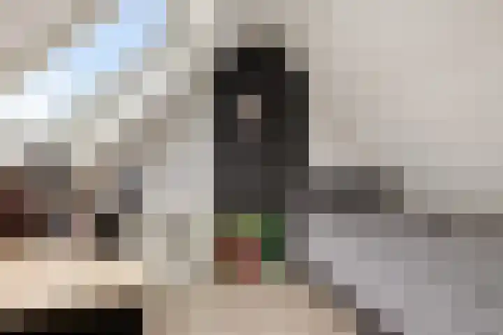 Aletta Jacobsstraat 9 Veenoord thumbnail 27