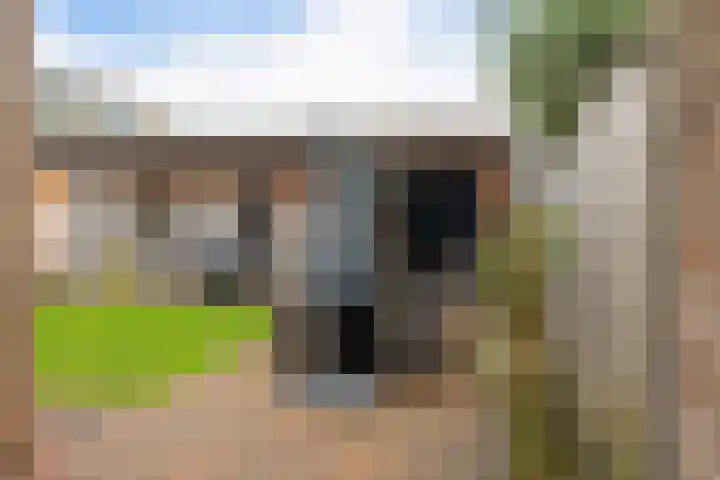 Aletta Jacobsstraat 9 Veenoord thumbnail 32