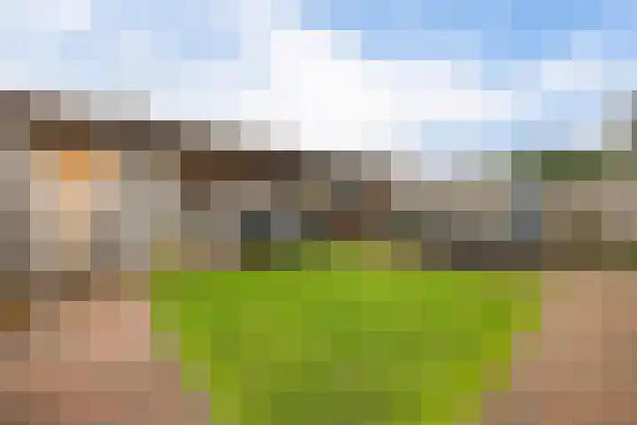 Aletta Jacobsstraat 9 Veenoord thumbnail 33